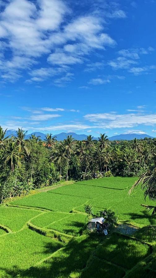 Nirwa Ubud Karma Esterno foto