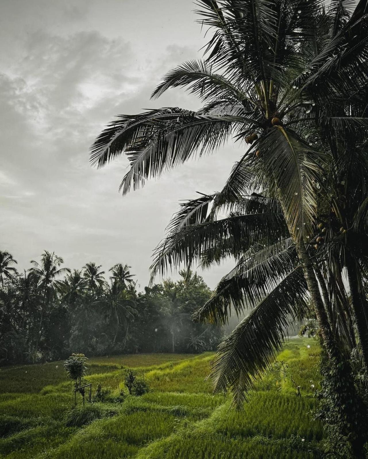 Nirwa Ubud Karma Esterno foto