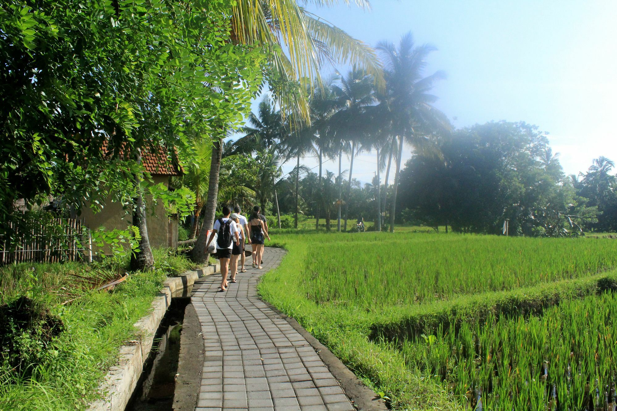 Nirwa Ubud Karma Esterno foto